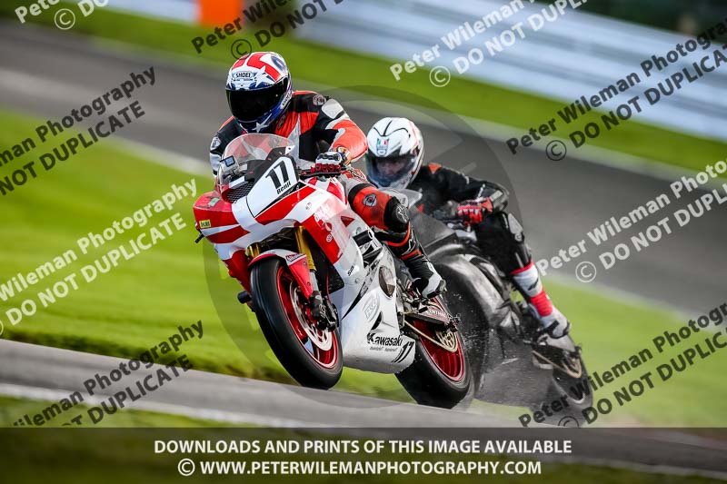 PJ Motorsport 2019;anglesey;brands hatch;cadwell park;croft;donington park;enduro digital images;event digital images;eventdigitalimages;mallory;no limits;oulton park;peter wileman photography;racing digital images;silverstone;snetterton;trackday digital images;trackday photos;vmcc banbury run;welsh 2 day enduro